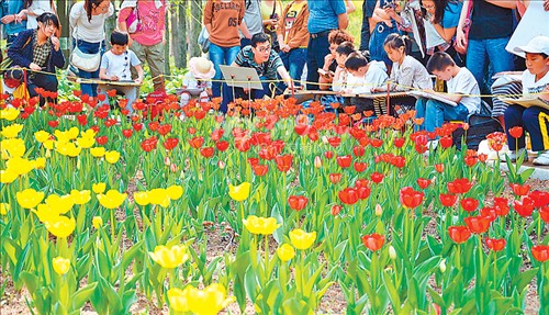 哈爾濱植物園:花海惹人醉 流連鬱金香